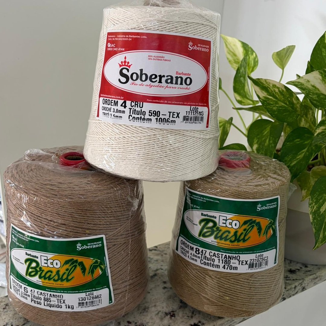 barbantes coloridos (1)